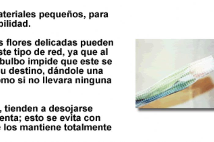 REDES RETRACTILES